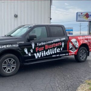 vehicle wrap